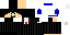 Texture for ds