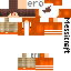 Texture for Netzer
