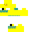 Texture for canard