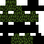 Texture for camo