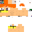 Texture for matheus_rex