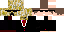 Texture for seg