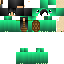 Texture for turtle