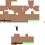 Texture for steve