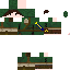 Texture for Link