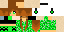 Texture for creeper