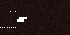 Texture for bear