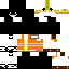 Texture for constructor