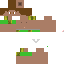 Texture for Sebastian