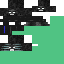 Texture for MAX
