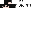 Texture for Head