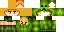 Texture for Erica