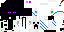 Texture for enderwhithe