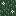 Texture for Spruce Leaves