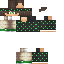 Texture for _MegmanPvP