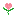 Texture for Valley