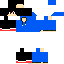 Texture for seg