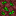 Texture for Uranium