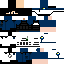 Texture for Fixel Inspector