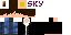 Texture for SkyReflex