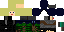 Texture for Seliene