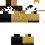 Texture for Papyrus629