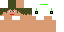 Texture for steve 223