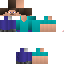 Texture for steve baris
