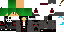 Texture for austin(hunter)