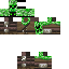Texture for creeper hunter