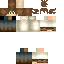 Texture for pixel