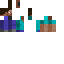 Texture for steev