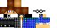 Texture for NERD