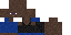 Texture for Bennett
