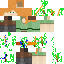 Texture for ff
