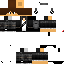 Texture for erick adventury