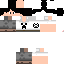 Texture for ryu