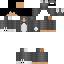 Texture for sylvester