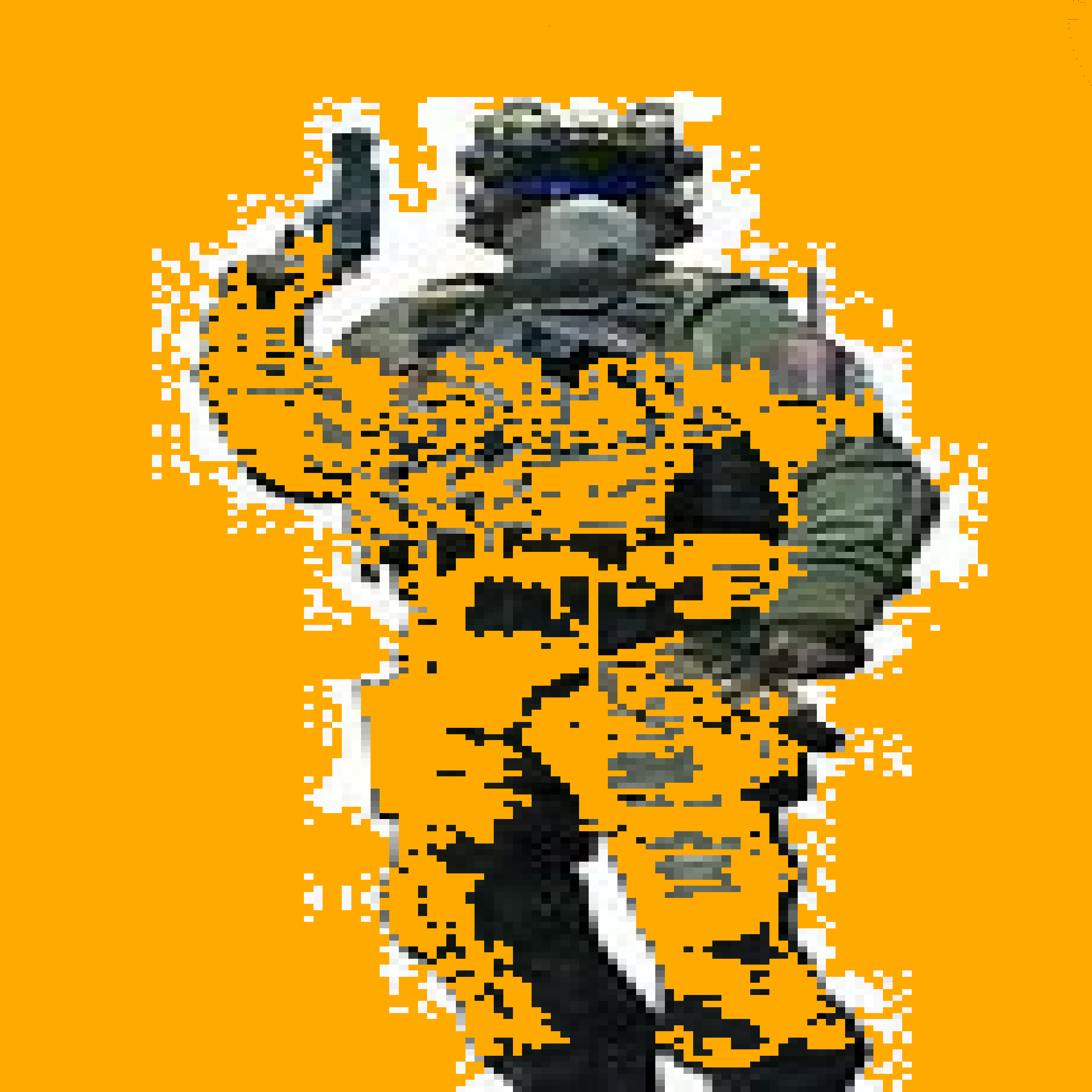 Texture for cs1