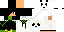 Texture for cesar11b