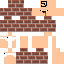 Texture for MichiCrafter557