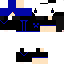 Texture for fs