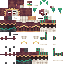 Texture for Jester