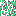Texture for acacia_leaves