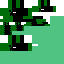 Texture for Wither Enderman Creeper