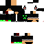 Texture for steve