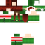Texture for elf 3