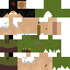 Texture for iancodbrine