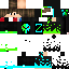 Texture for Steve