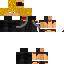 Texture for ninja